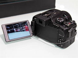 徕卡V Lux2数码相机产品图片10